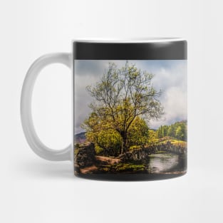 Slater Bridge Panorama Mug